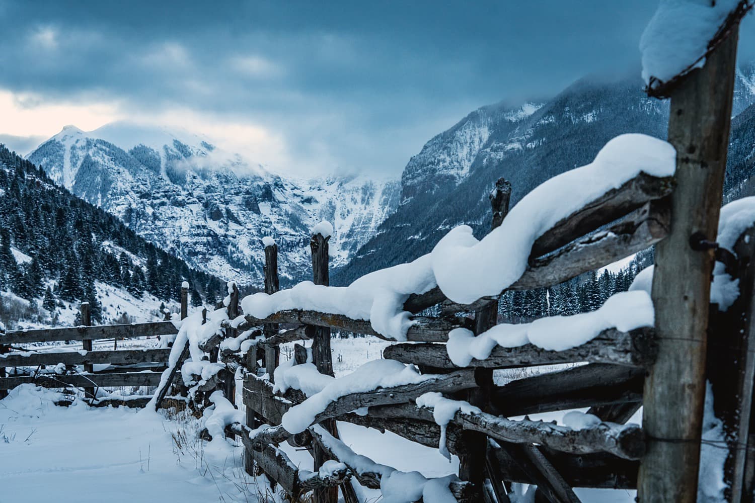 TELLURIDE PEAK SHEET: December 8 - 14 — featured image