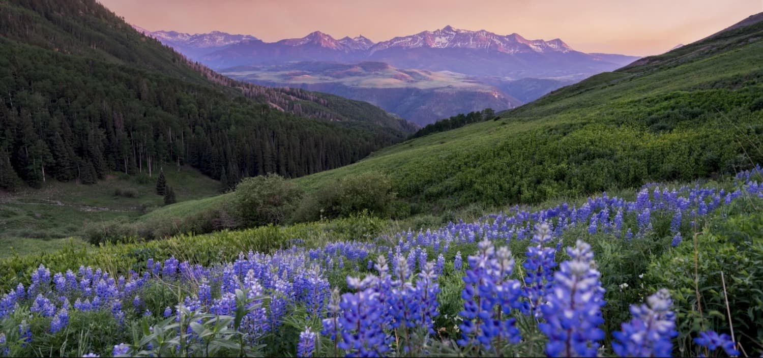 Telluride Peak Sheet: July 14 - 20, 2023 — featured image