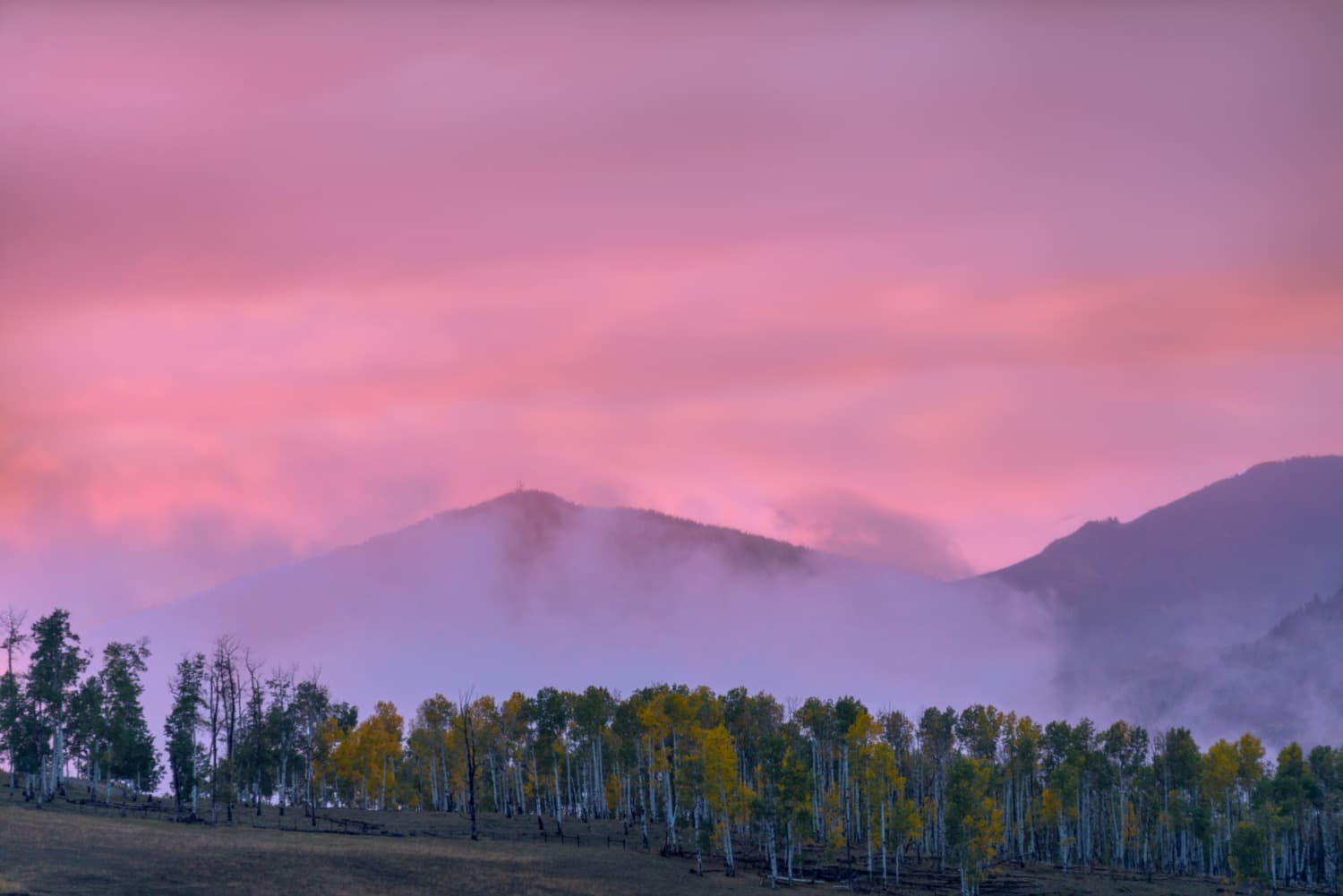 Telluride PEAK SHEET: September 22 - 28 — featured image