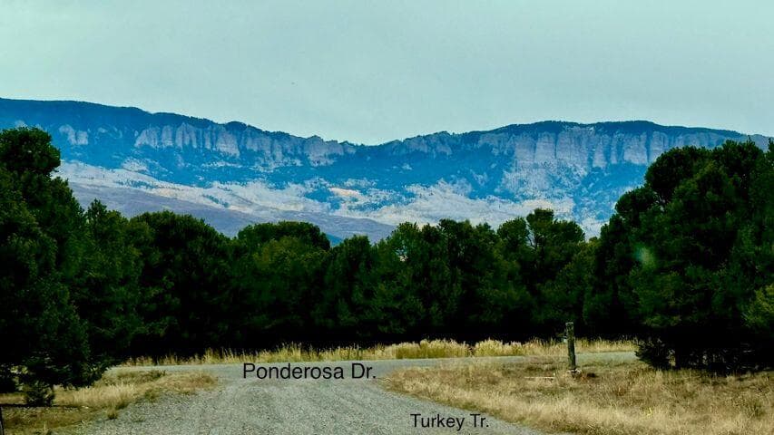 TBD Ponderosa Drive