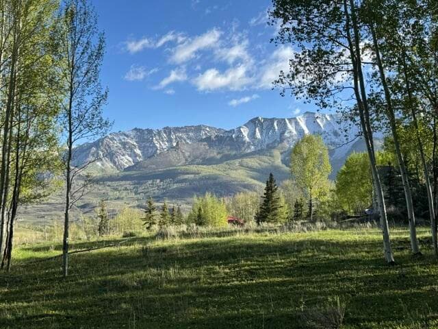 Lot 25 Wapiti