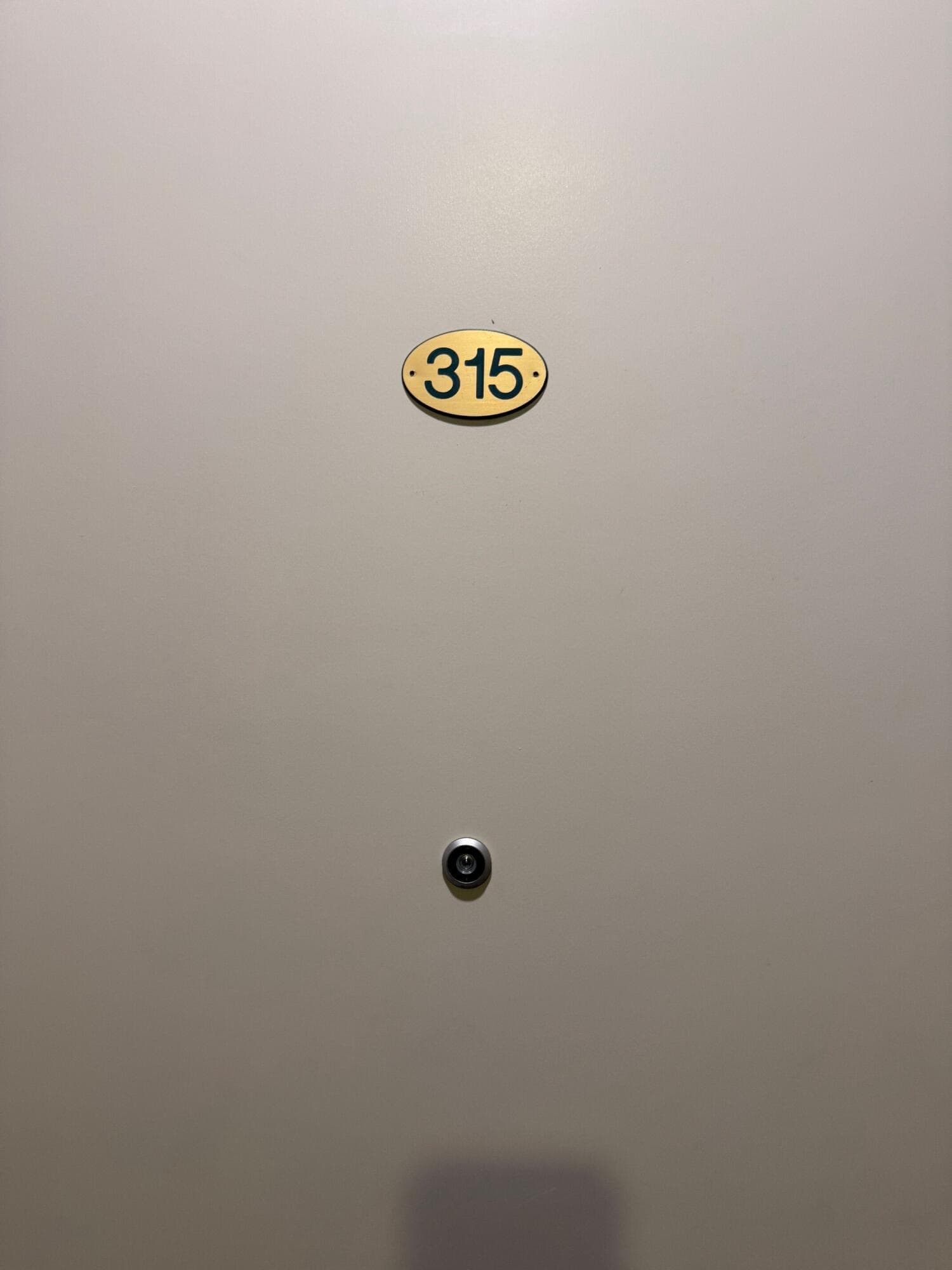 333 S Davis Street 315 & 317 - Thumbnail 8