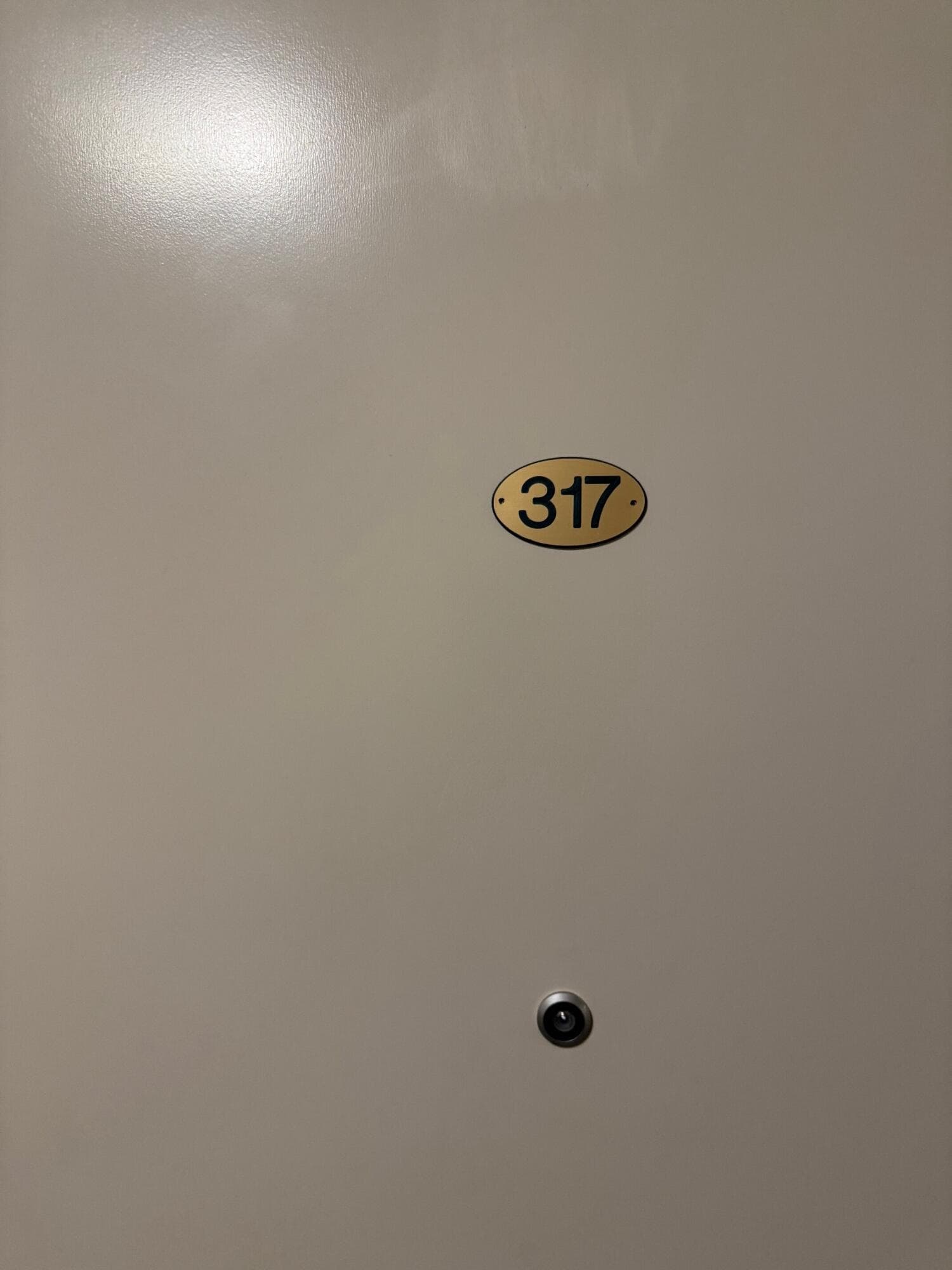 333 S Davis Street 315 & 317 - Thumbnail 14