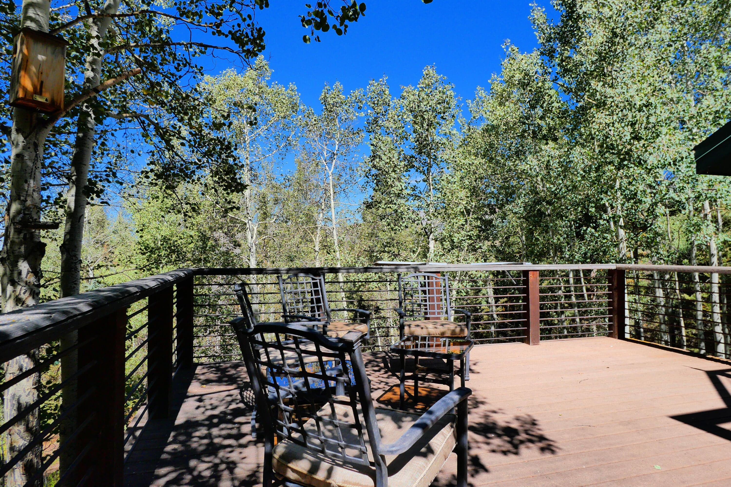 819 Saddle Horn Lane - Thumbnail 8