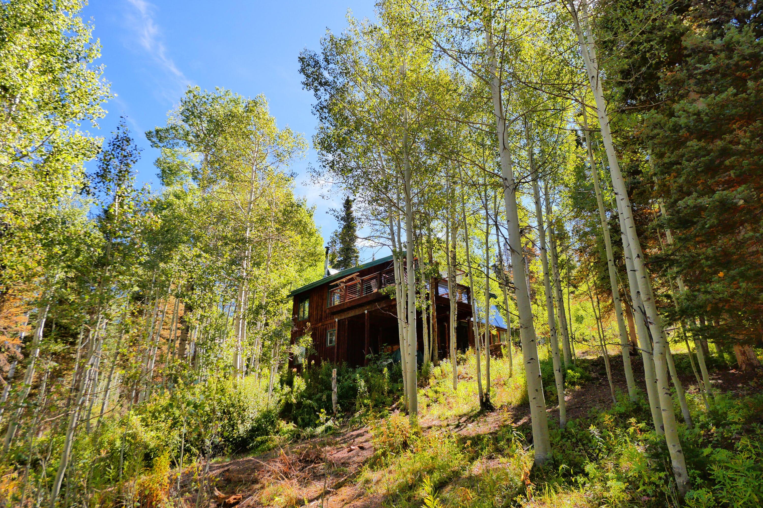 819 Saddle Horn Lane - Thumbnail 4