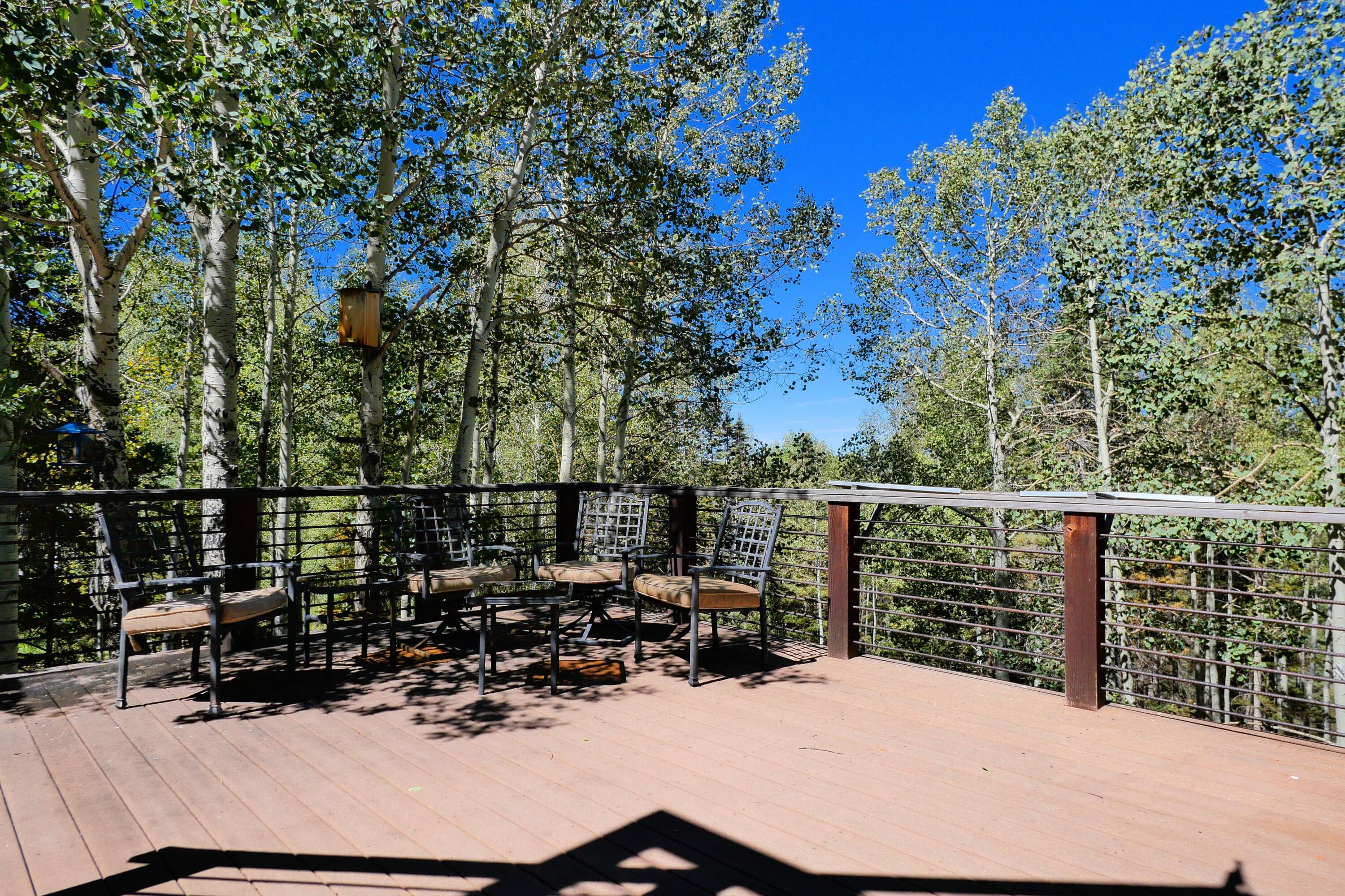 819 Saddle Horn Lane - Thumbnail 7