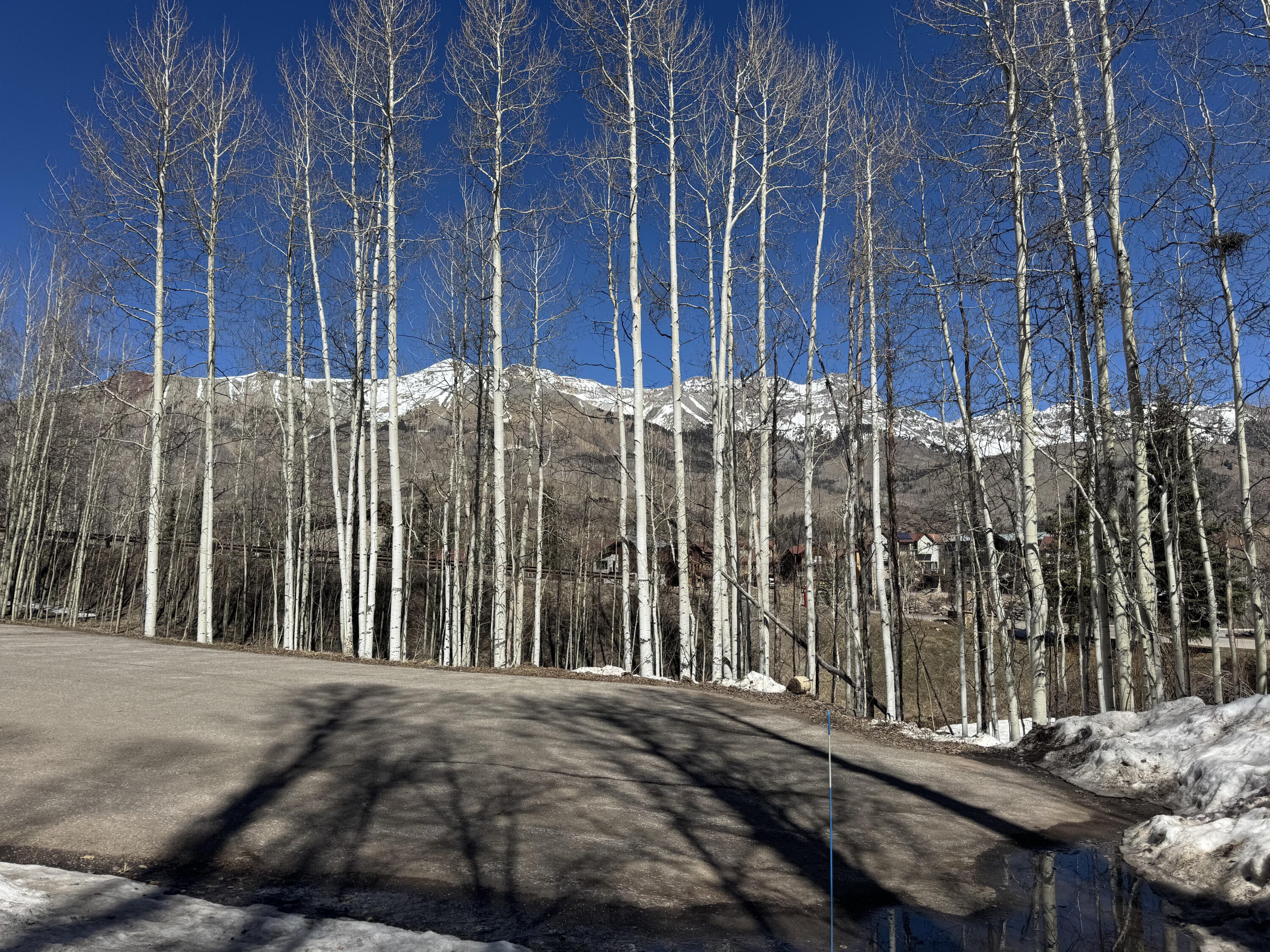 304 Adams Ranch Road - Thumbnail 9