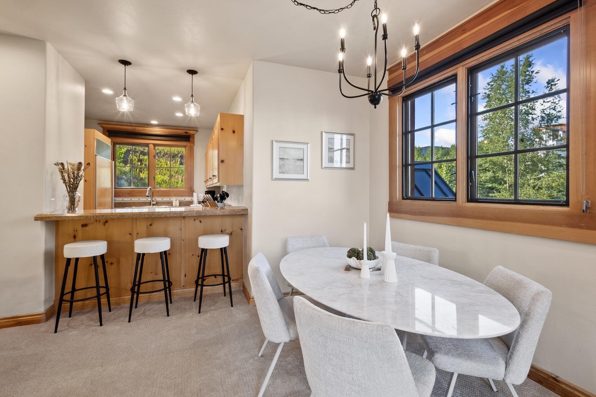 102 Sunny Ridge Place 102 - Thumbnail 4