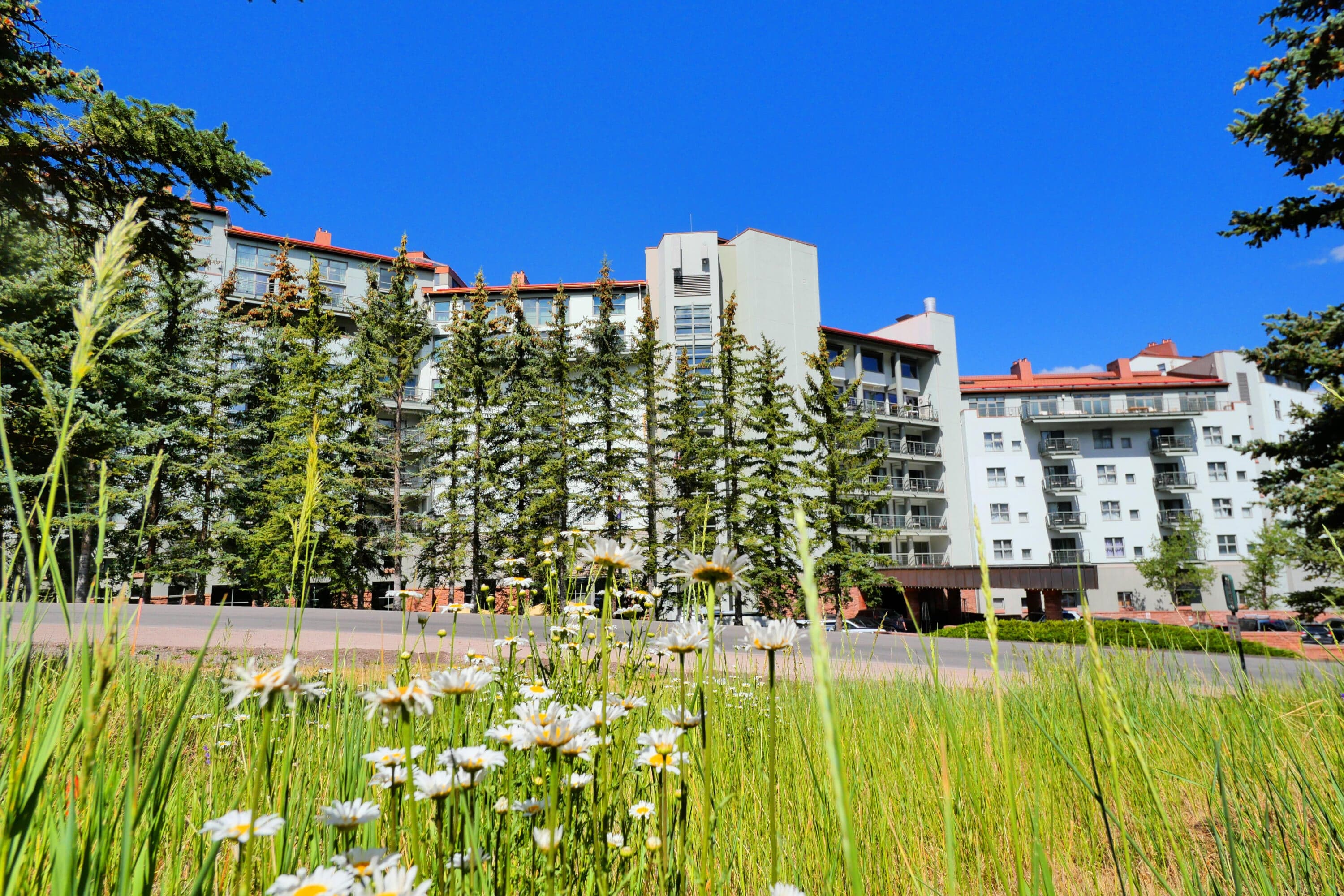 136 Country Club Drive 418 - Thumbnail 2