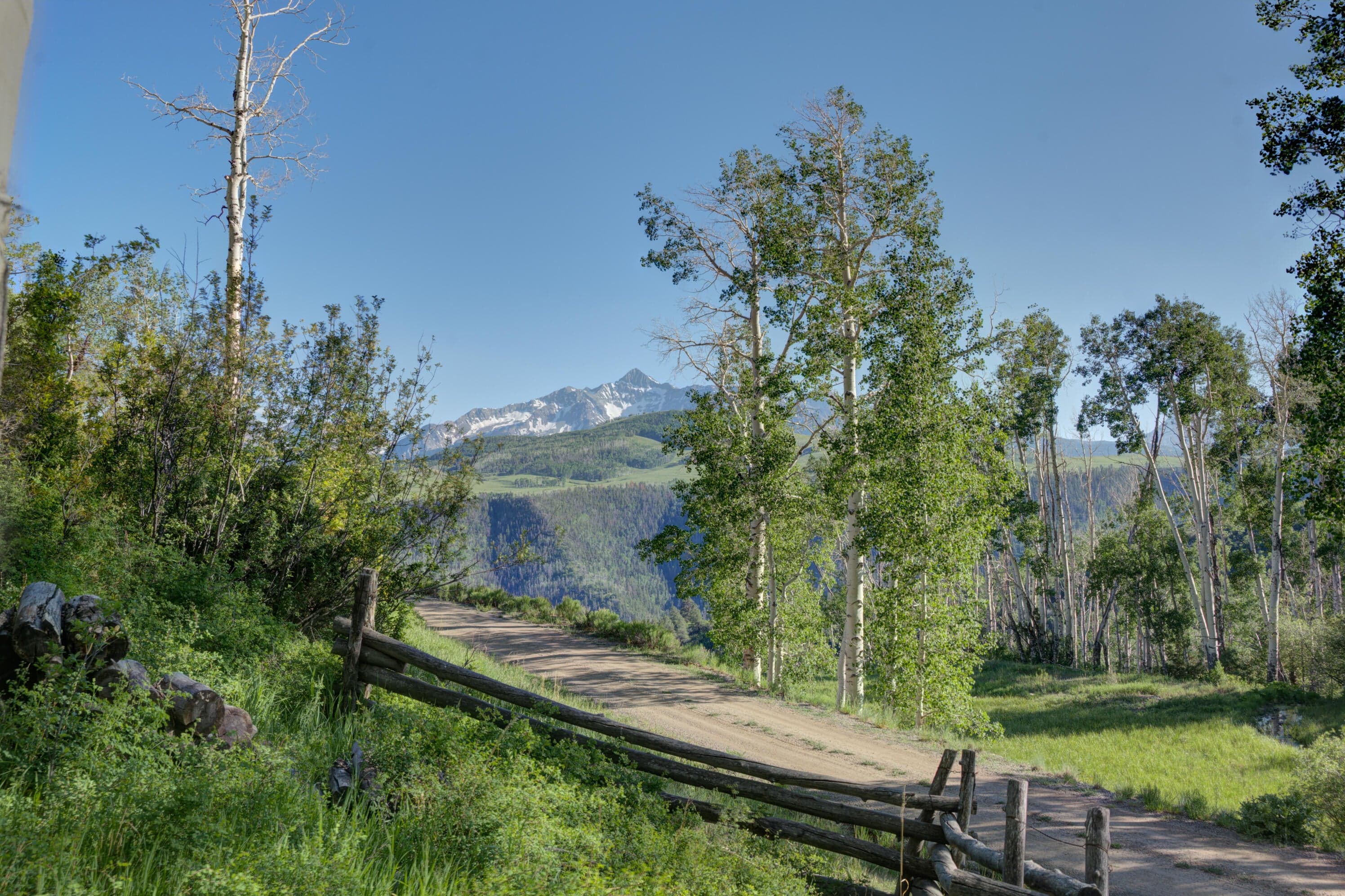 6131 Last Dollar Road Road - Thumbnail 5