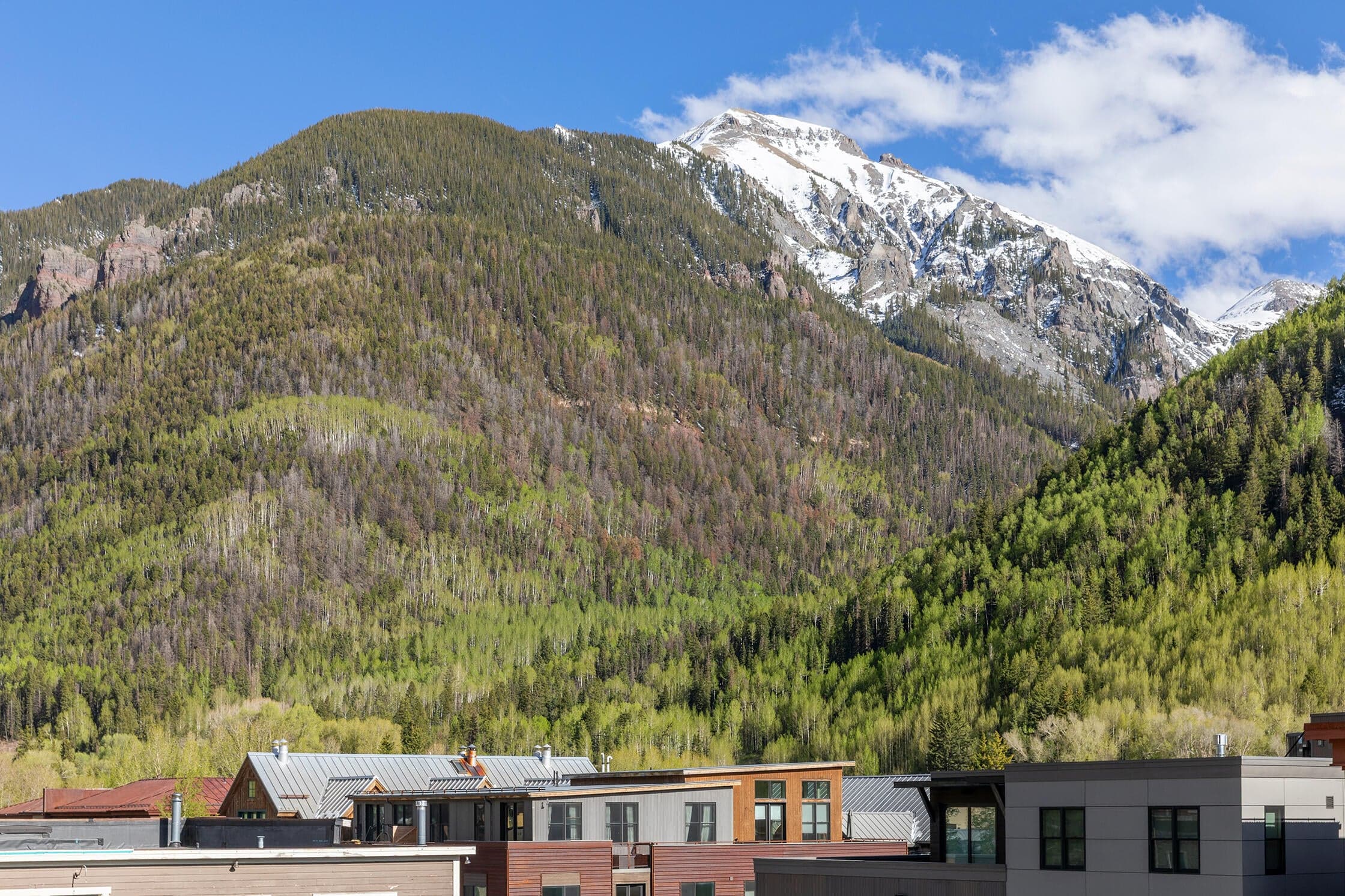 110 S Pine Street 1B - Thumbnail 11
