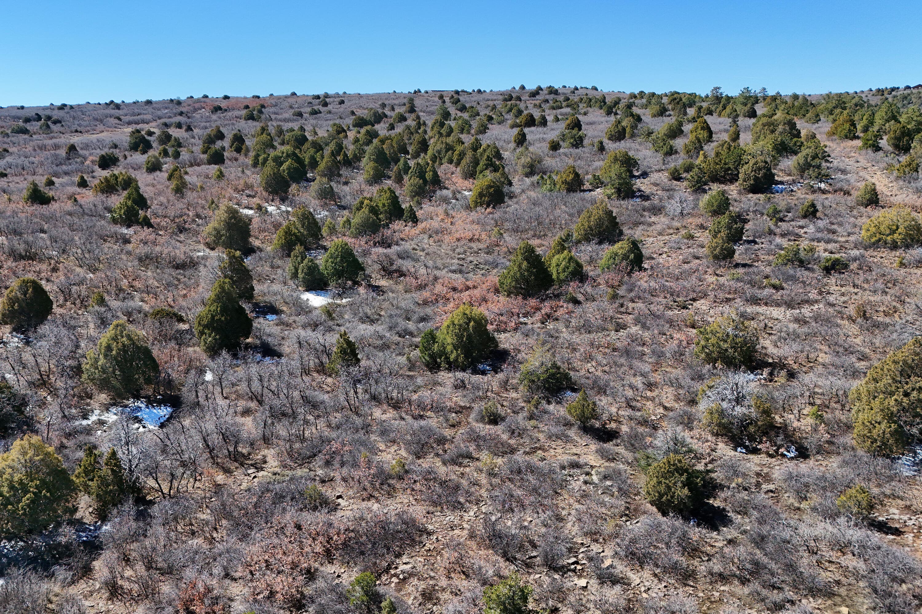 9 N Gurley Reserve - Thumbnail 20