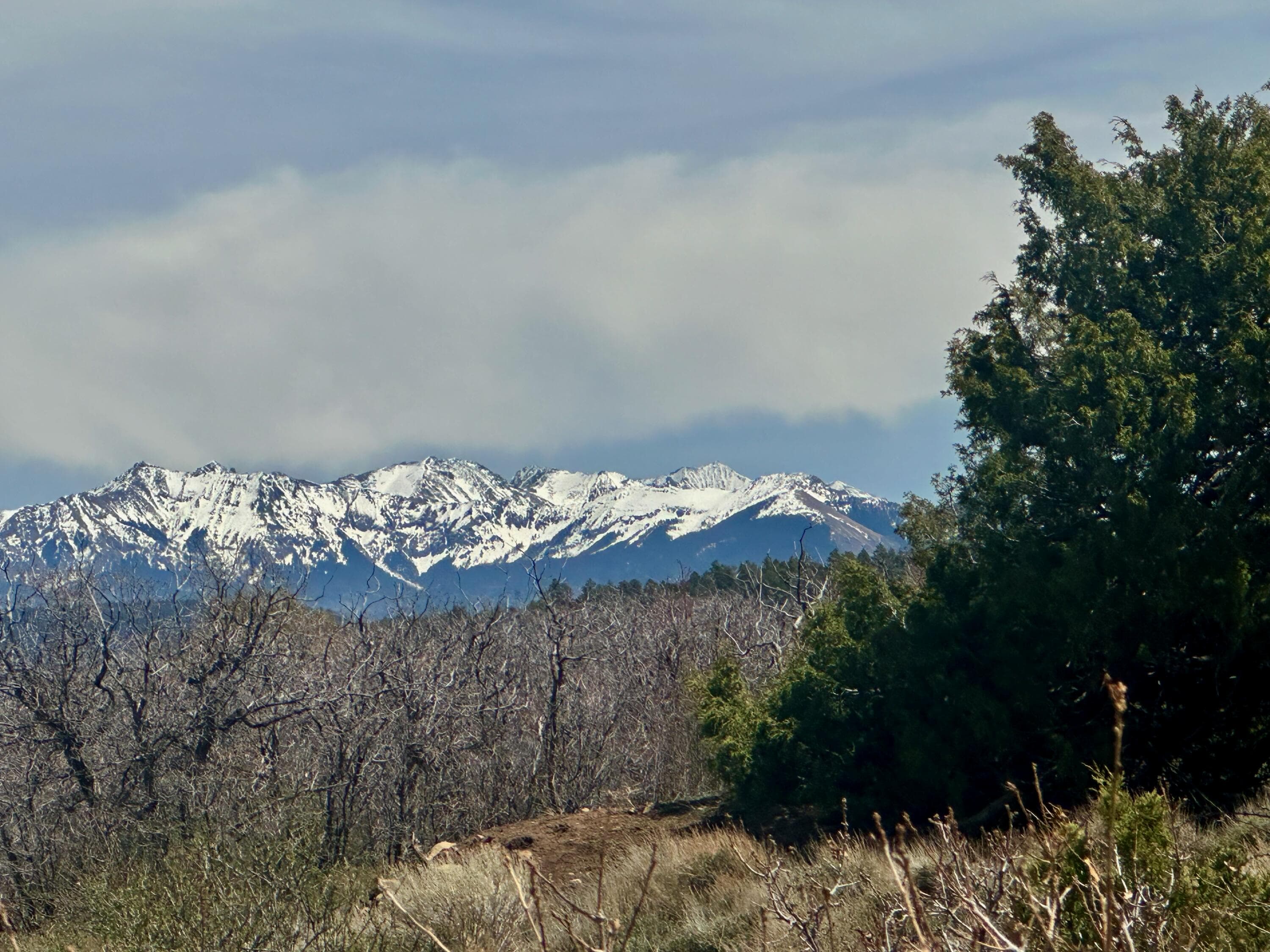 9 N Gurley Reserve - Thumbnail 2