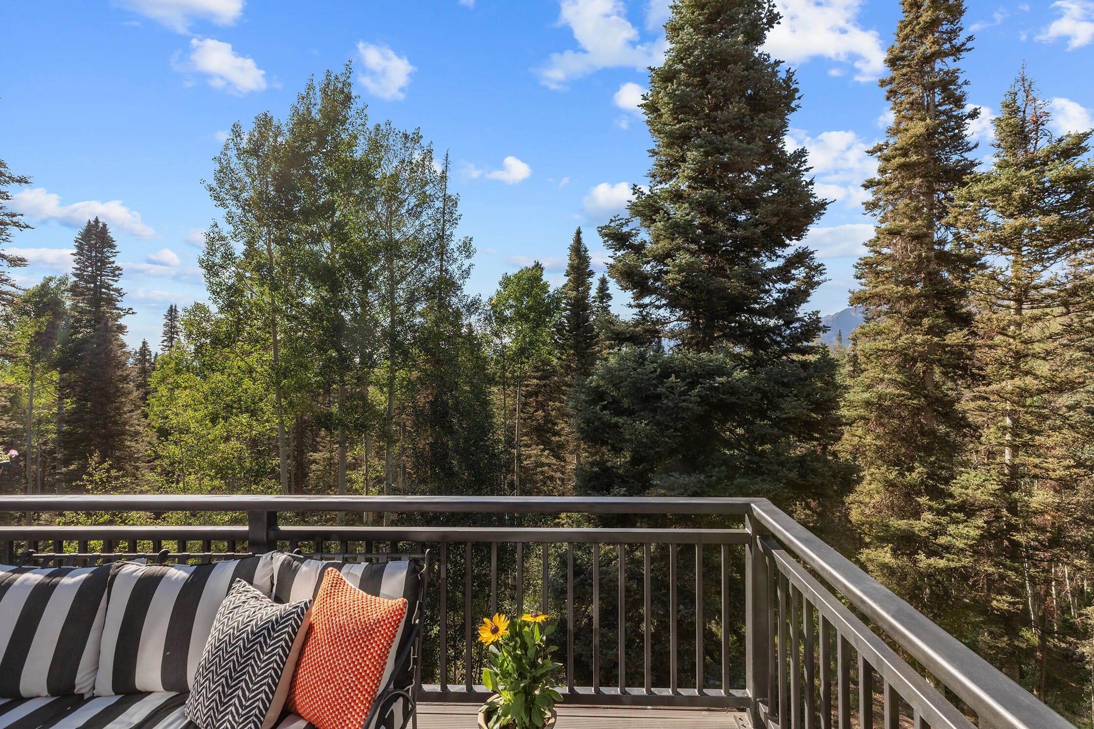 815 Saddle Horn Lane - Thumbnail 8