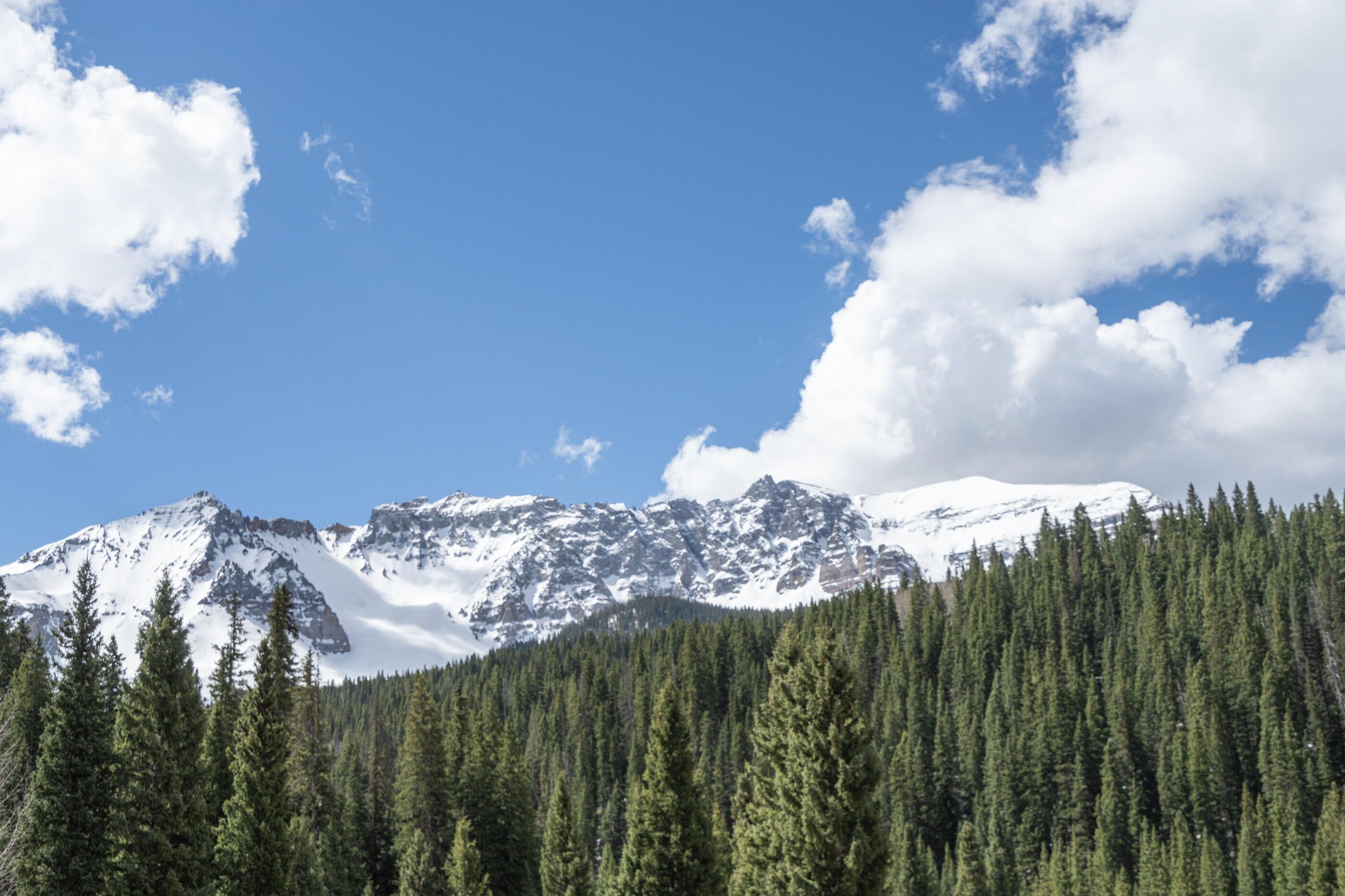 135 Marmot Way - Thumbnail 15