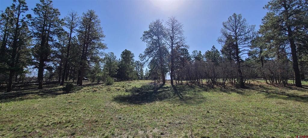 225 Badger Trail