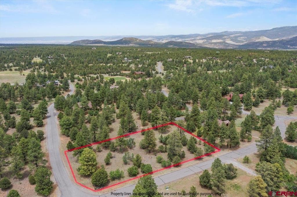 TBD Lot 308 Bear Cub Drive
