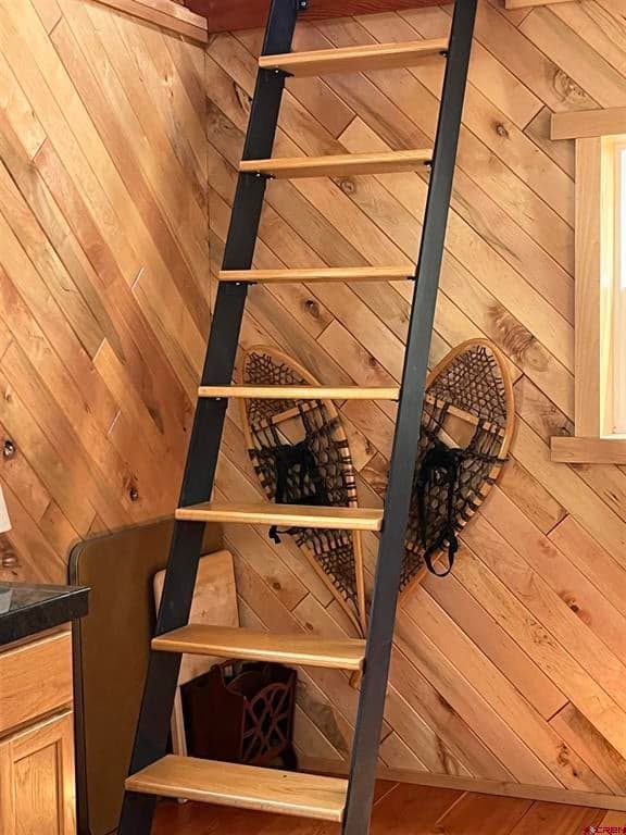 4717 San Juan Vista Drive - Thumbnail 9