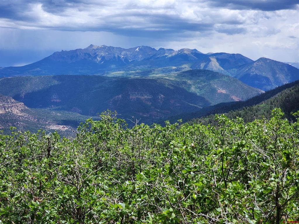 TBD Canyon Rim Loop
