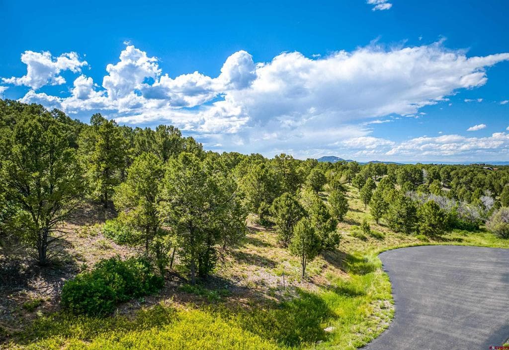Lot 9 Pointe Escape Drive