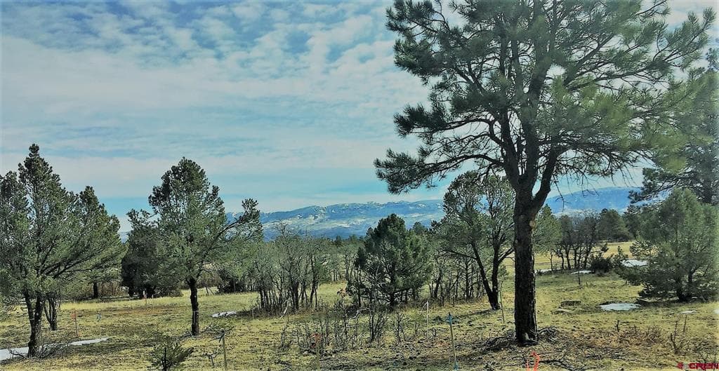 TBD S Badger Trail