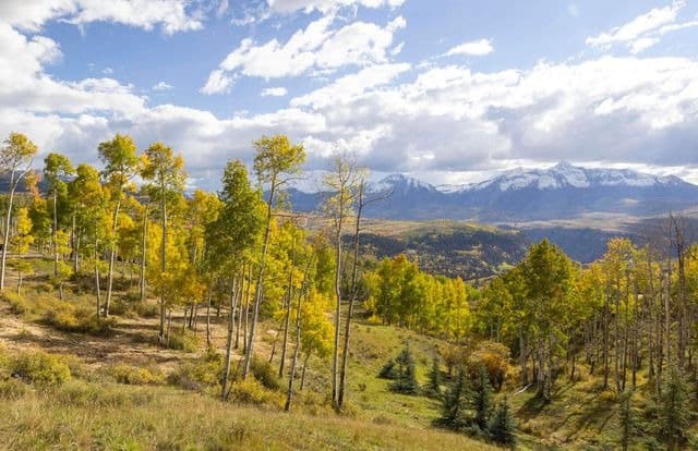 Check out the market in Telluride, CO 81435 (March 28, 2023) — featured image