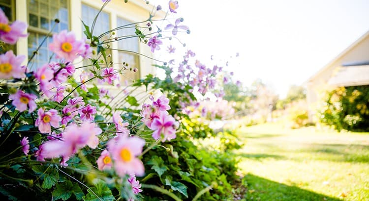 Telluride Homebuyer Activity Shows Signs of Warming Up for Spring — featured image