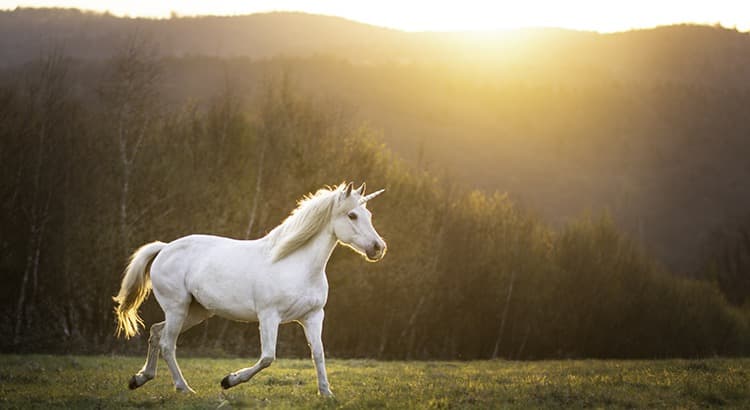 Today’s Real Estate Market: The ‘Unicorns’ Have Galloped Off — featured image