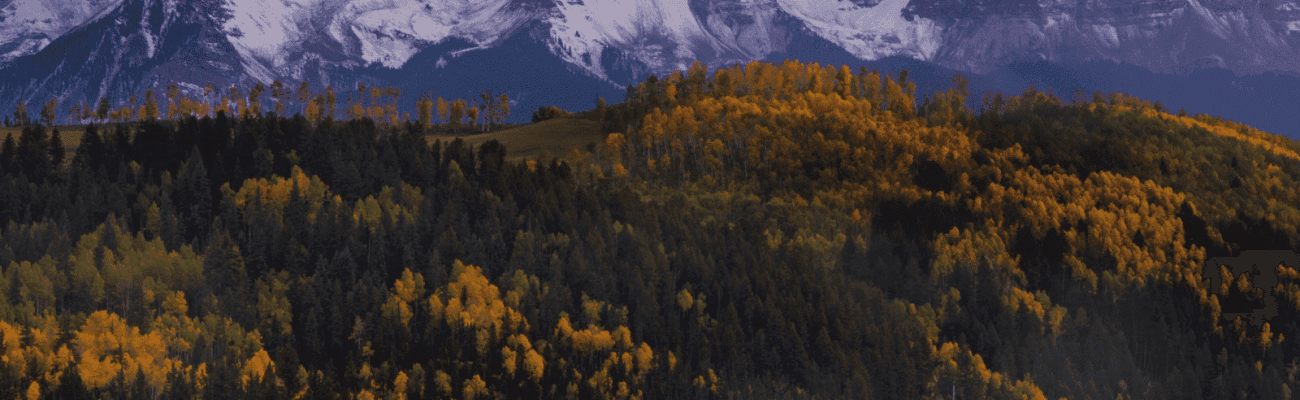 Forested high-country estate setting in the Gray Head area near Telluride, Colorado