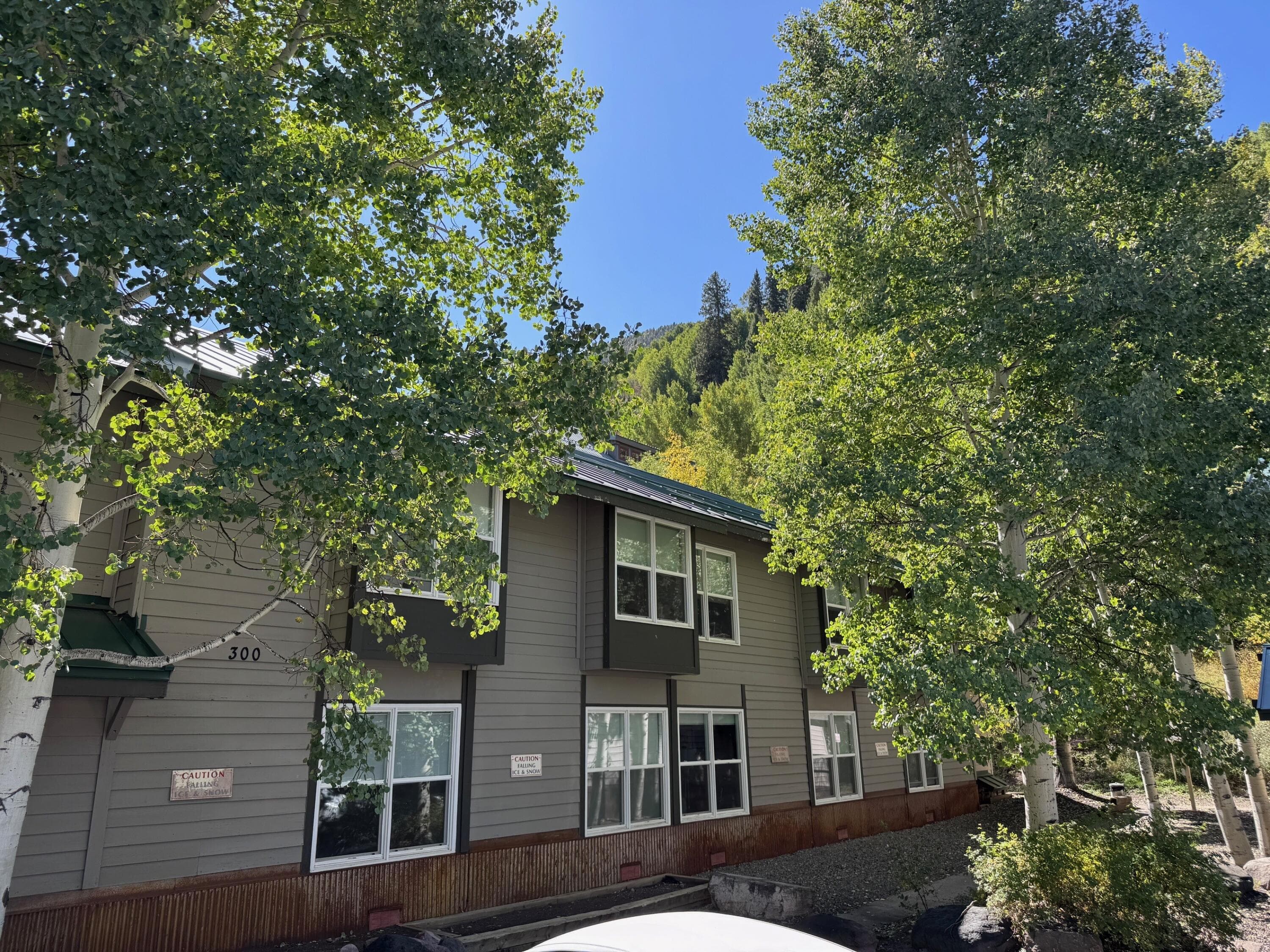 333 S Davis Street 315 & 317 - Photo 1