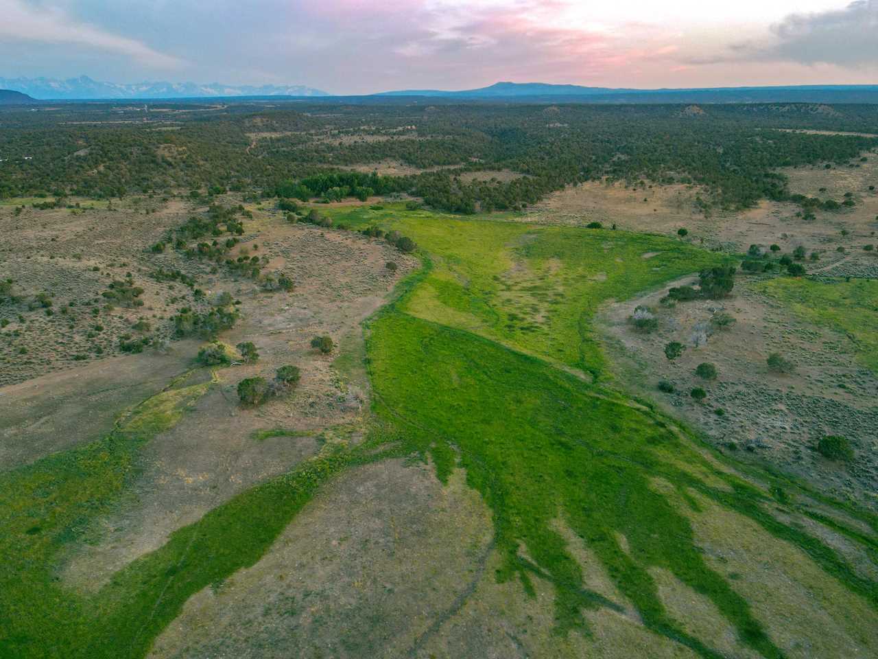 Featured: Mountain Rose Realty at HAVEN Homes + Lifestyles Magazine September 2022 — photo 1