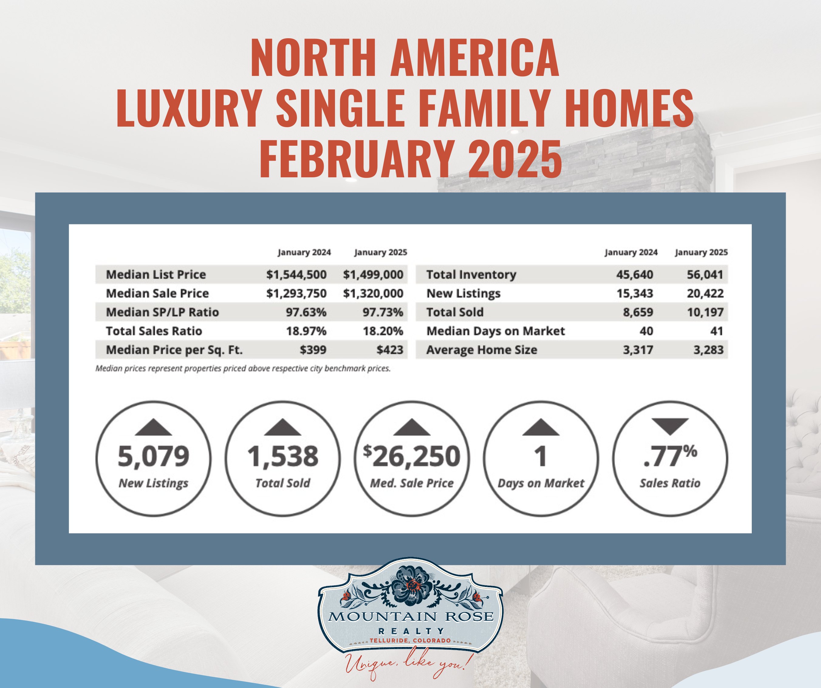 North America Luxury Market Report: February 2025 | Key Data & Insights — photo 2