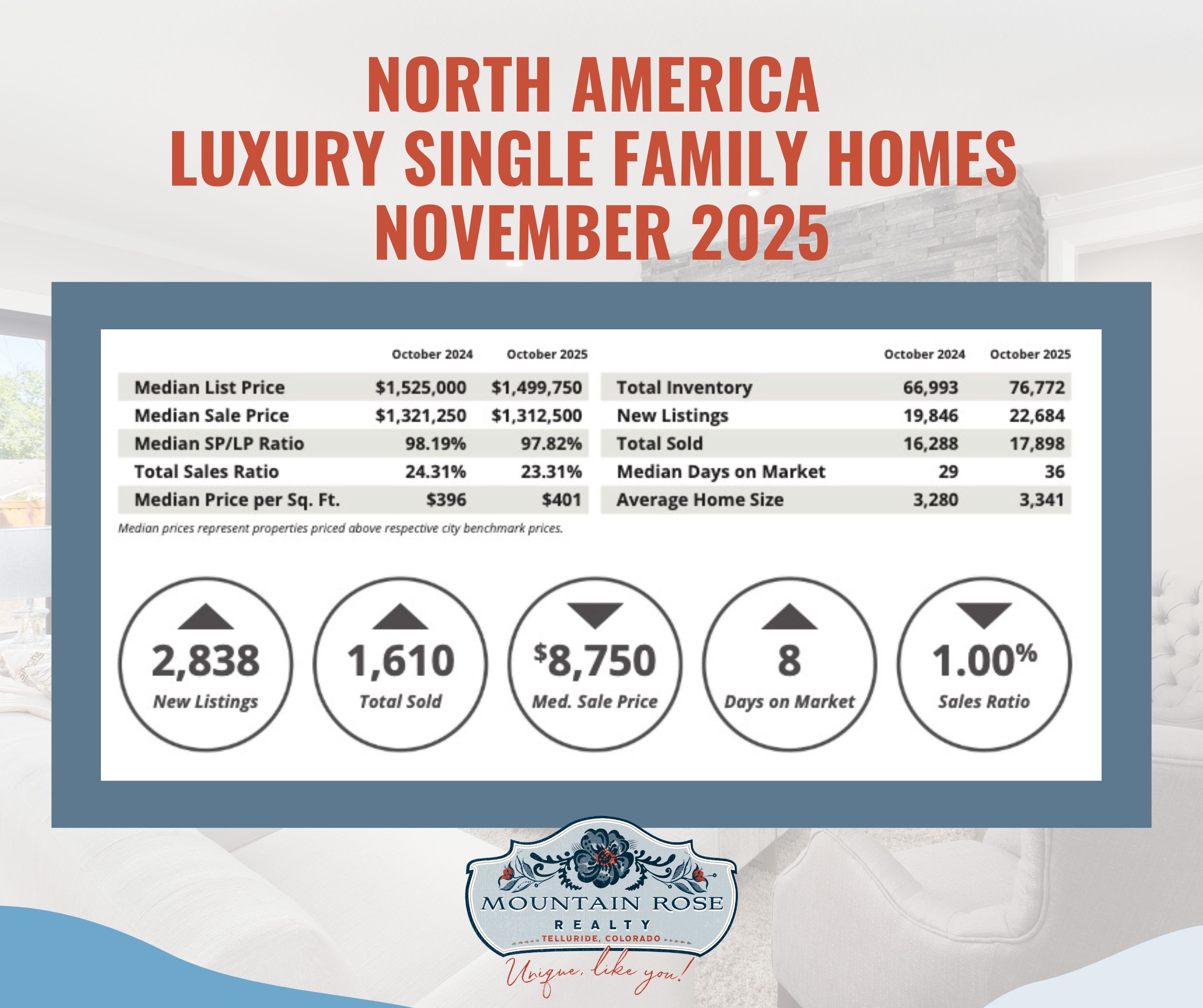 Your North America Digital Luxury Market Report | November 2025 — photo 1